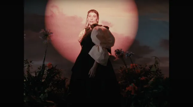 Lisel: The Past is a Tiger