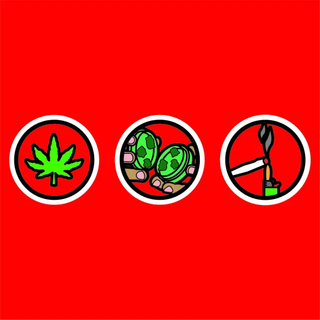 Graphics, Logos and Fonts