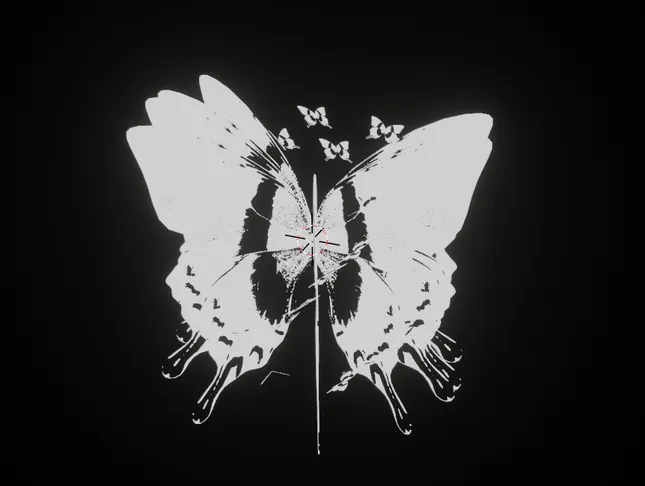 Project image