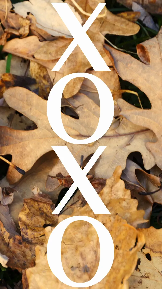 XOXO fall 23 bts