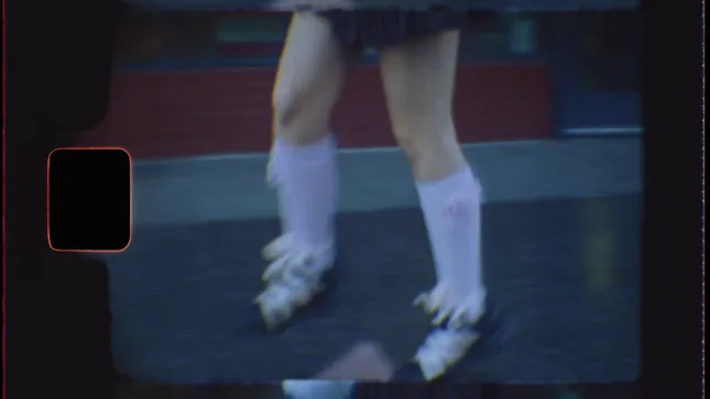 HOLLYWOOD SALOMONS