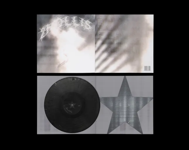 2Hollis vinyl concept