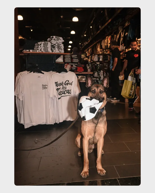 Zumiez x Chicos Toxicos In-Store Event