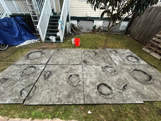 Project image