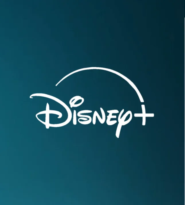 Unannounced Disney TV Show