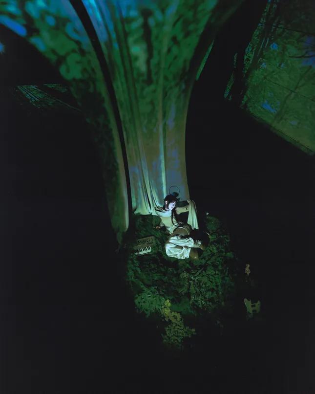 Project image