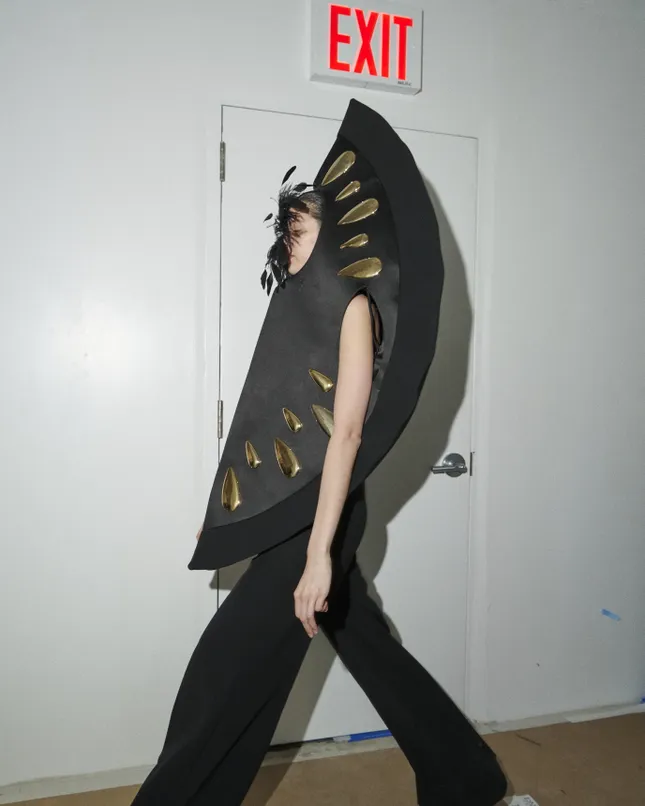 Project image