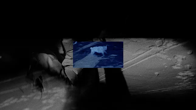 Project image