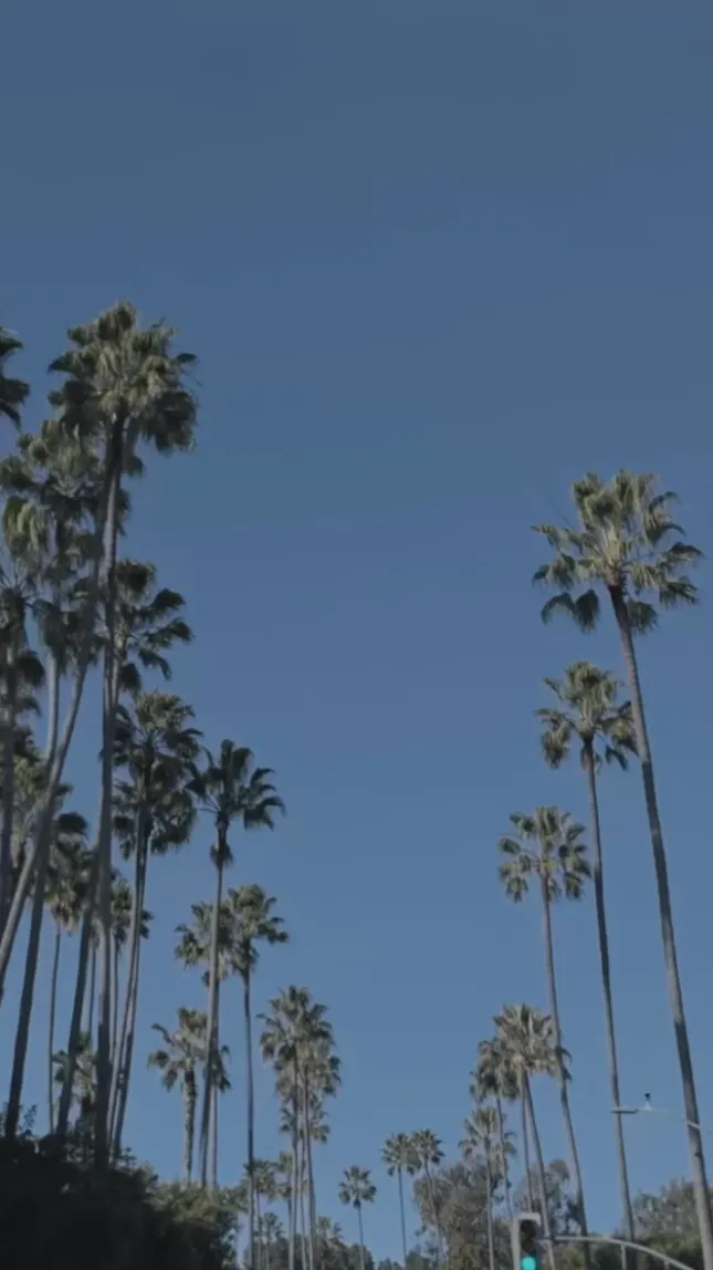 The Frankie Shop x Crosby Studios