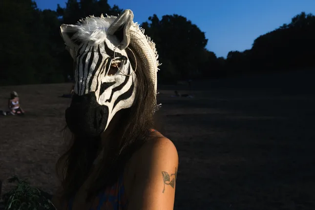 Debra the Zebra