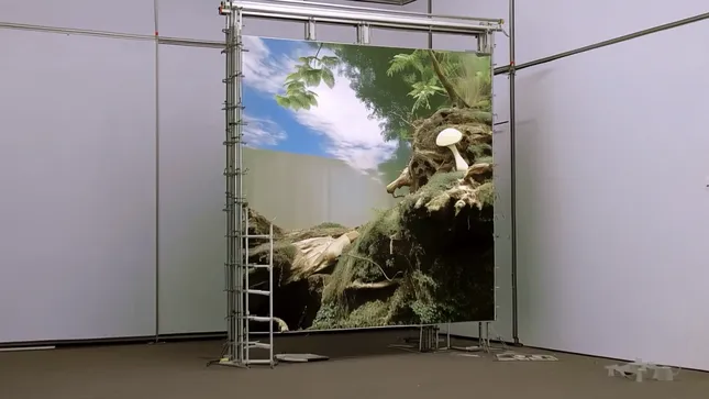 Project image