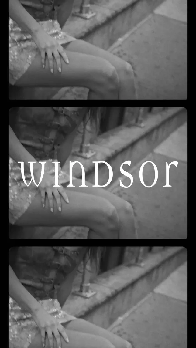 Windsor Campaign
