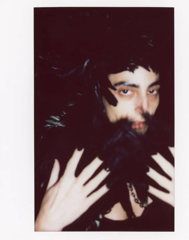 Polaroids