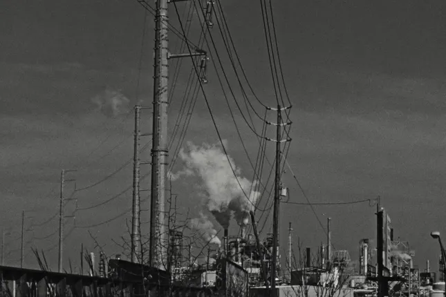 Pink Siifu - Mr. Moodboard