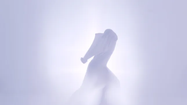 Gravity of Self