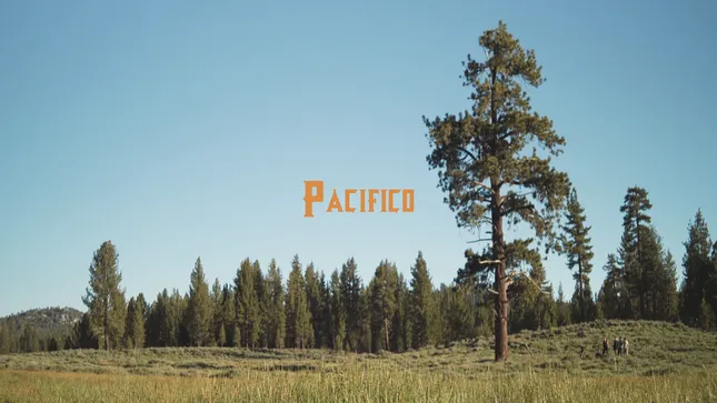 Just A Pacifico