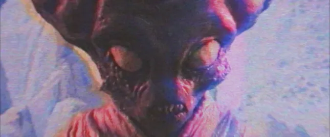 TERRESTRIAL