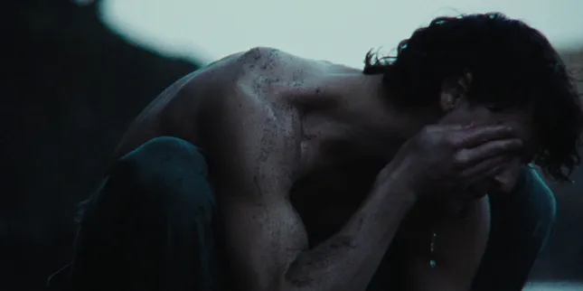 Green Vows- Noah Guy (Official Music Video)