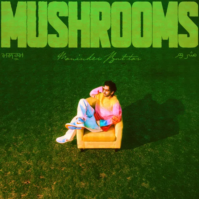 MUSHROOMS COVER BY ME