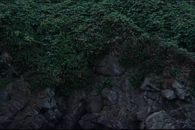 'Butterflies' - Mikah, 88rising