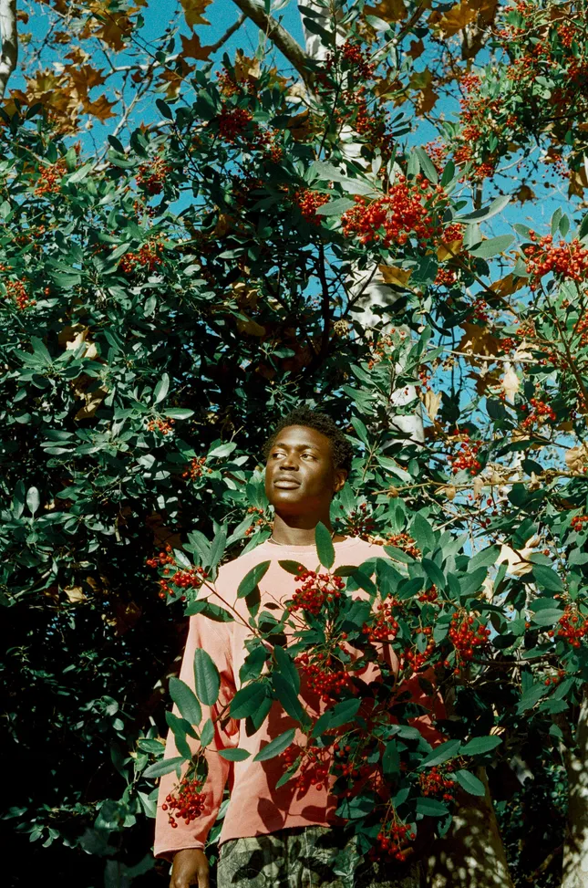 Monrovia