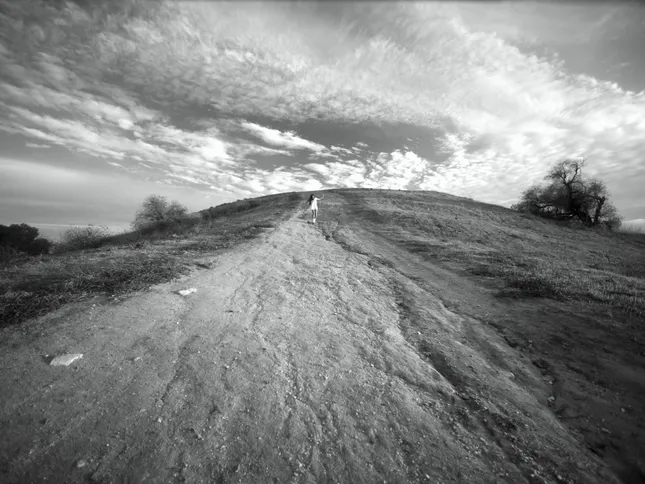 The Hill I Die On