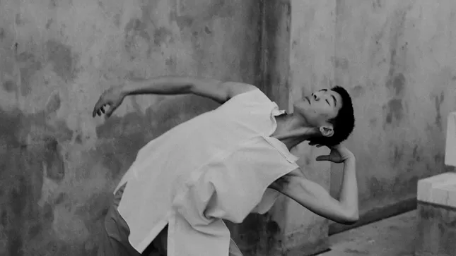 ad campaign for eyn vas