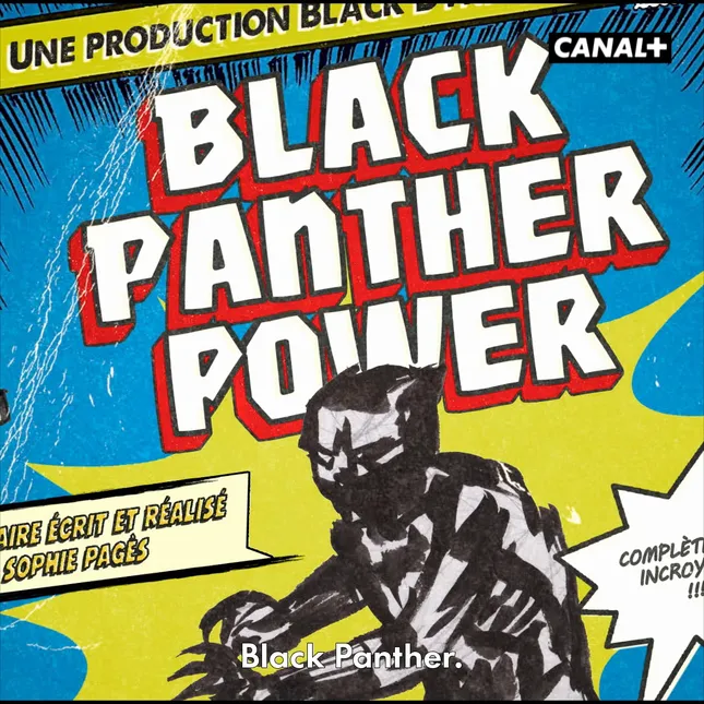 Black Panther Power