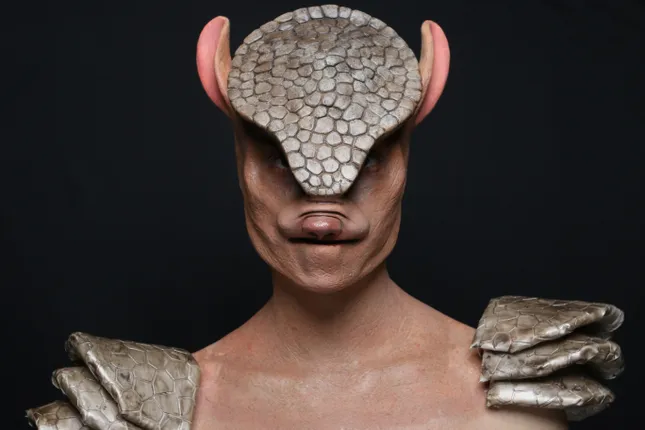 Mighty Armadillo