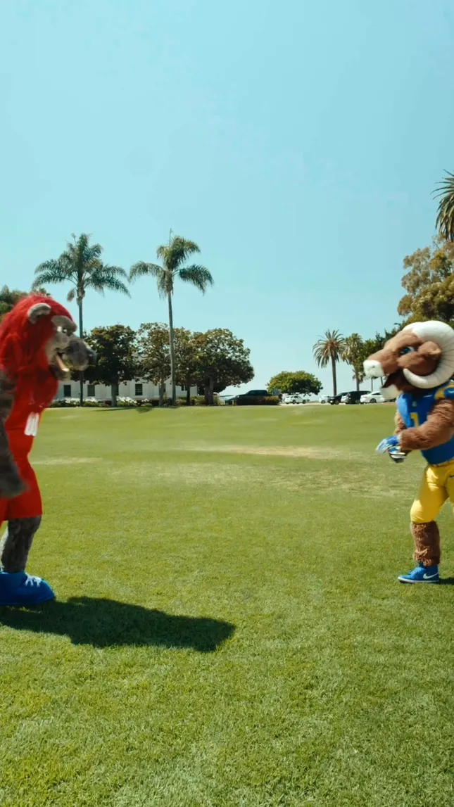 LA Rams x Loyola Marymount Collab