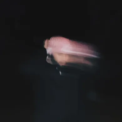 SS  Avatar