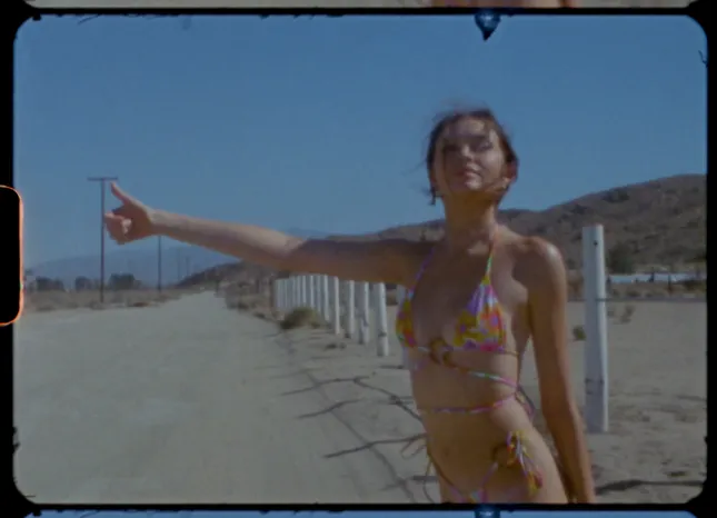 AMERICAN HONEY