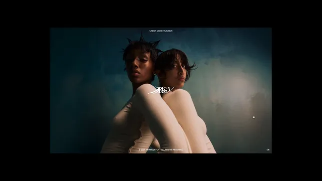 newbedstuy - landing page