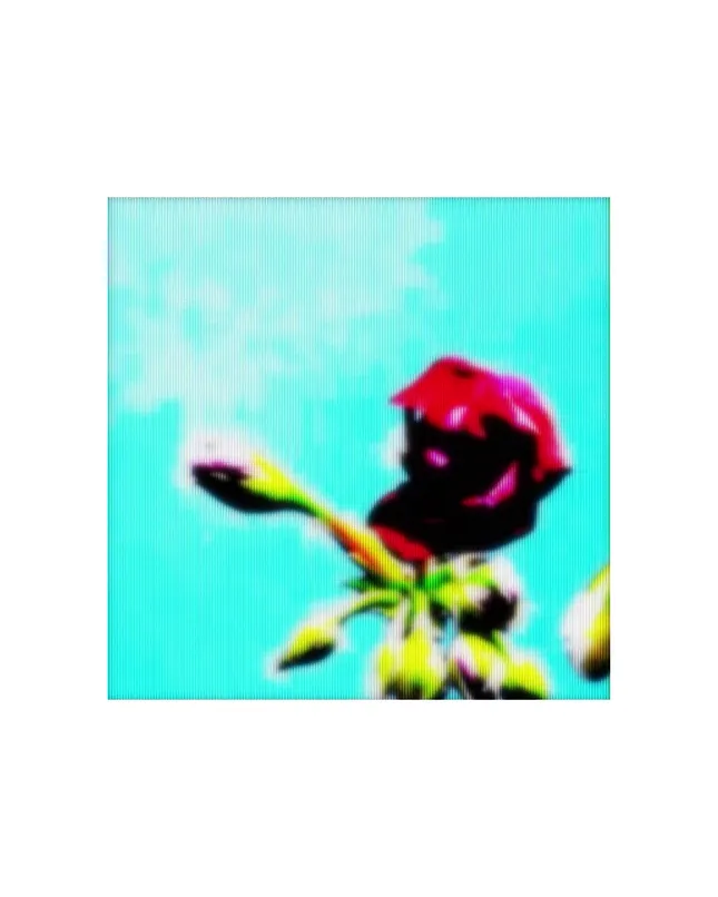 2022 Music Visuals