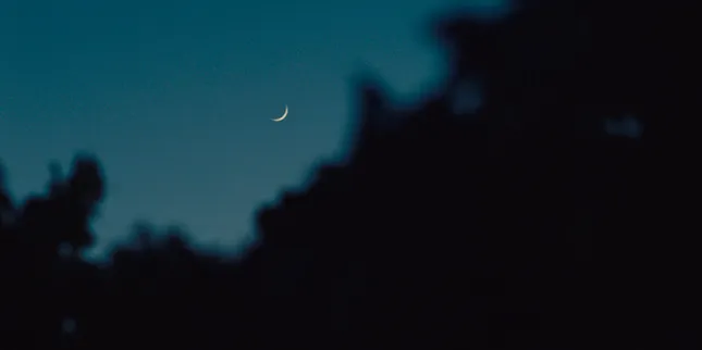 Aremes Fermentis - Product Launch