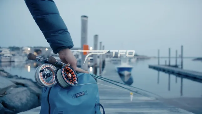 TFO BLITZ