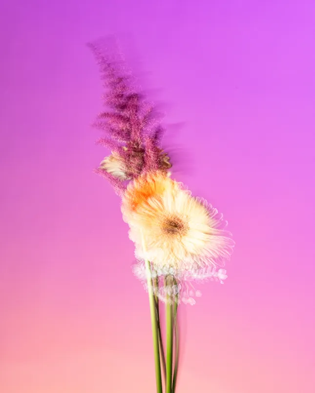 Still lifes for L'Oréal