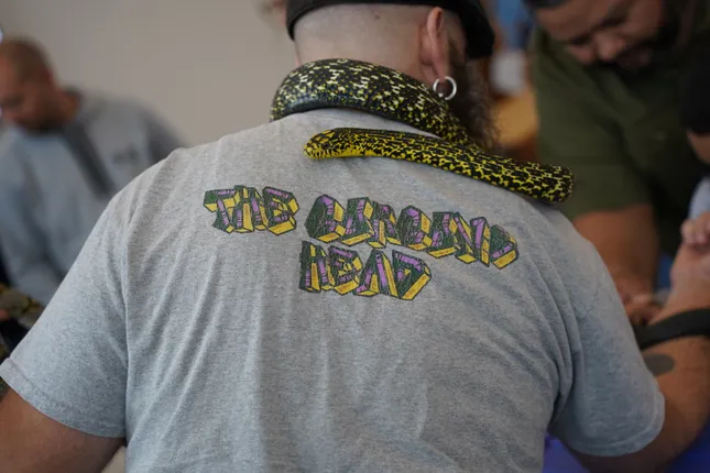 Reptile Showcase at Children's Museum (Carolina Reptile Center)