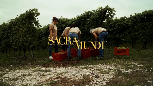 Harvest time x Sacramundi
