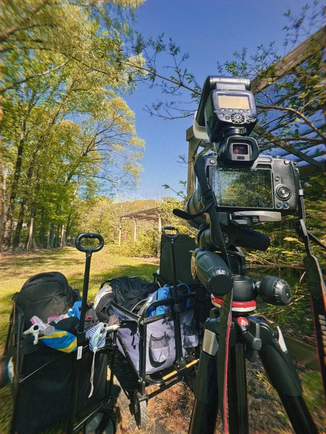Garden Photographer
