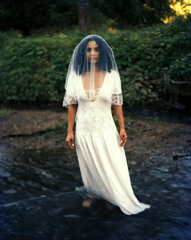 Amarilys 4x5 Large Format Film