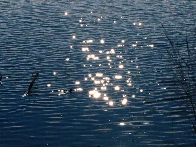 The Color Blue: Radnor Lake