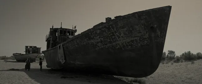 They — short film 2025
