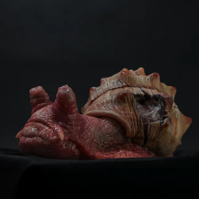 Nicholas Winstead FX Product Photography