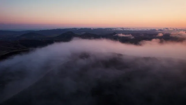 Sampl Tasting Notes Documentary - Drone Operator
