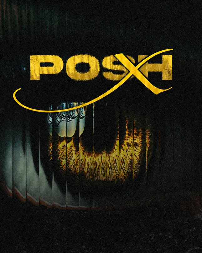 POSH X Poster