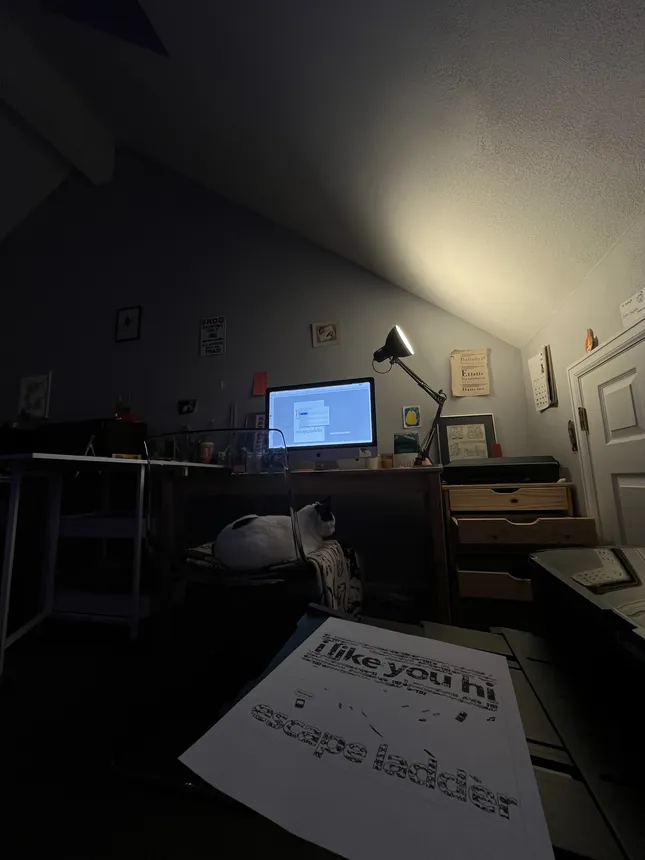Project image