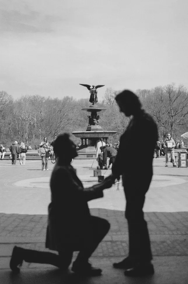 Dave + Nick | Proposal