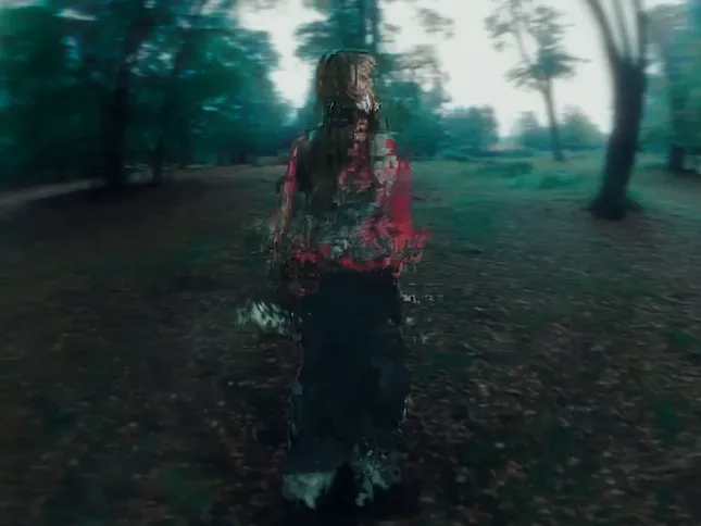 PinkPantheress Tour Visuals