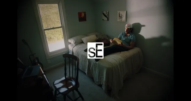 SE Electronics Ad